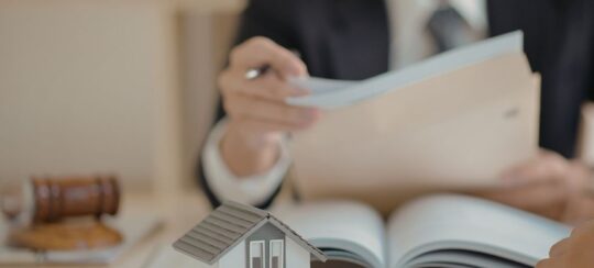 A lawyer going through a document